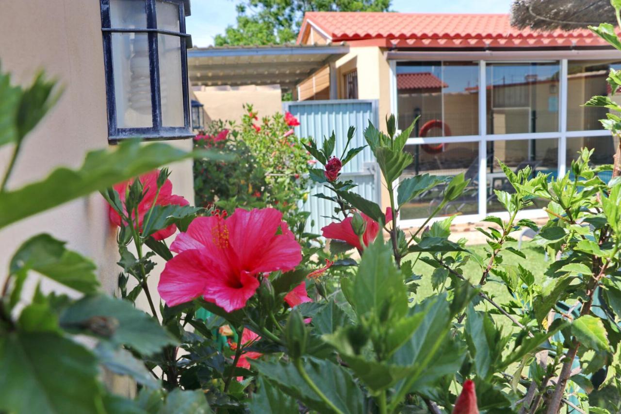 Bungalow Curro Pareja 97 Conil De La Frontera Bagian luar foto